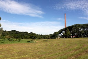 Parque Barigui - grama cortada e chaminé