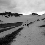 Dunas da Praia Grande, São Francisco do Sul